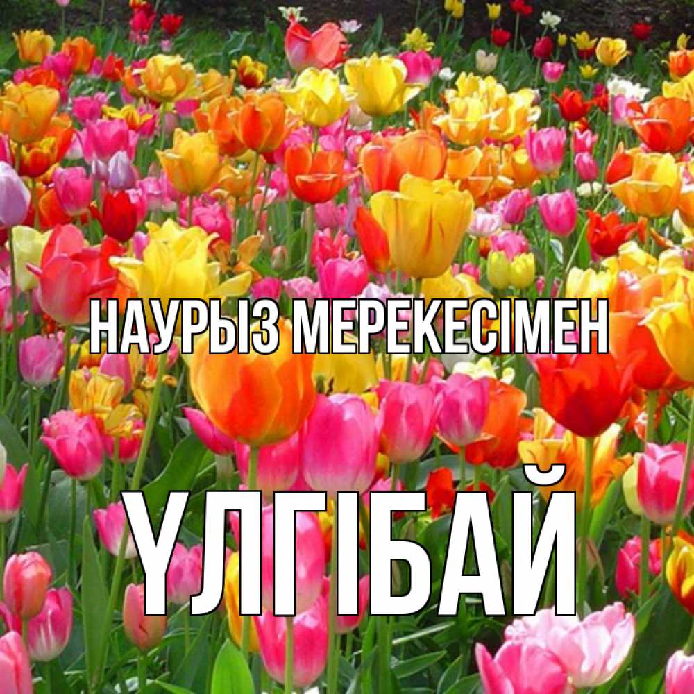 Күн сайын ашық хат с именем, ҮЛГІБАЙ Наурыз мерекесімен праздник весны наурыз 4 Онлайн тегін жүктеп алу тілектері бар керемет карта 