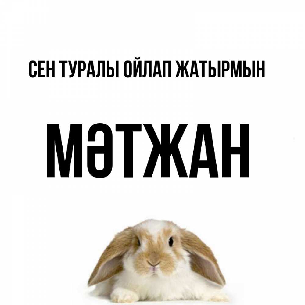 Күн сайын ашық хат с именем, МӘТЖАН Сен туралы ойлап жатырмын подписать своими руками онлайн Онлайн тегін жүктеп алу тілектері бар керемет карта 