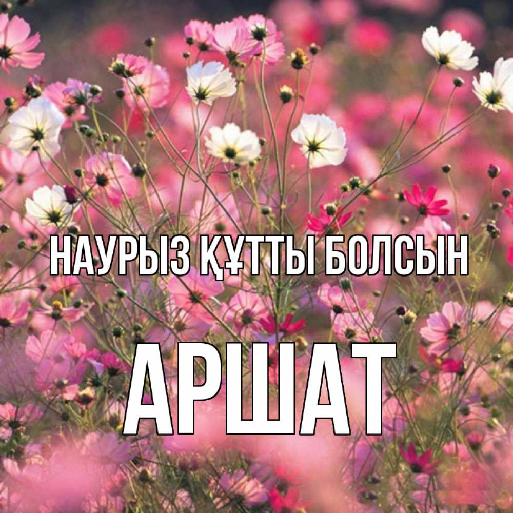 Күн сайын ашық хат с именем, АРШАТ Наурыз құтты болсын красиво 1 Онлайн тегін жүктеп алу тілектері бар керемет карта 