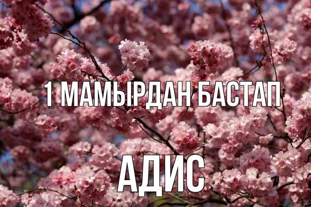 Күн сайын ашық хат с именем, Адис 1 мамырдан бастап С 1 мая Онлайн тегін жүктеп алу тілектері бар керемет карта 