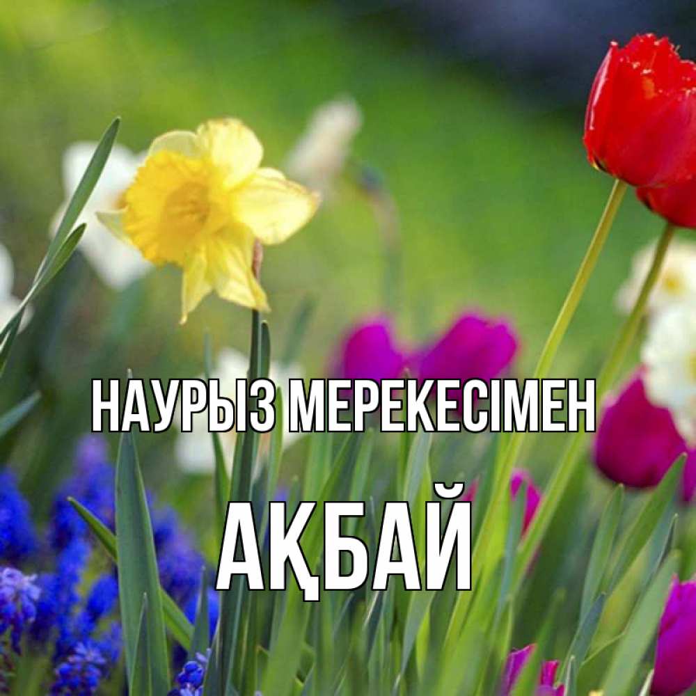 Күн сайын ашық хат с именем, Ақбай Наурыз мерекесімен праздник весны наурыз 3 Онлайн тегін жүктеп алу тілектері бар керемет карта 