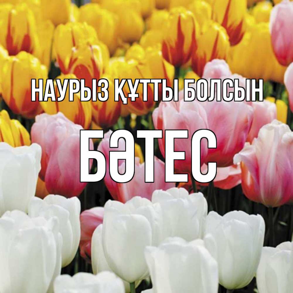 Күн сайын ашық хат с именем, БӘТЕС Наурыз құтты болсын разноцветные цветы Онлайн тегін жүктеп алу тілектері бар керемет карта 