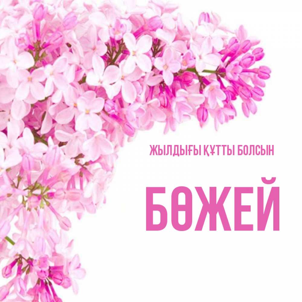 Күн сайын ашық хат с именем, Бөжей Жылдығы құтты болсын Сирень на белом фоне Онлайн тегін жүктеп алу тілектері бар керемет карта 