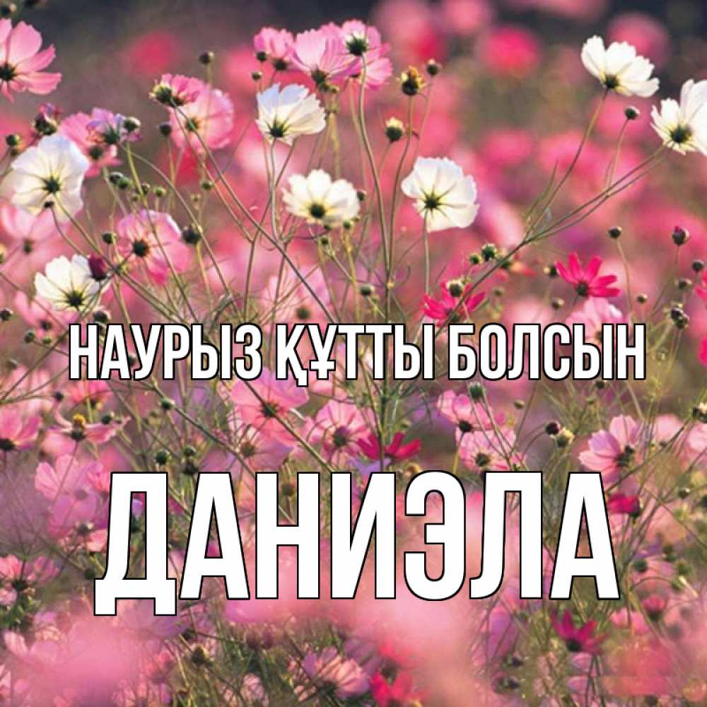 Күн сайын ашық хат с именем, Даниэла Наурыз құтты болсын красиво 1 Онлайн тегін жүктеп алу тілектері бар керемет карта 