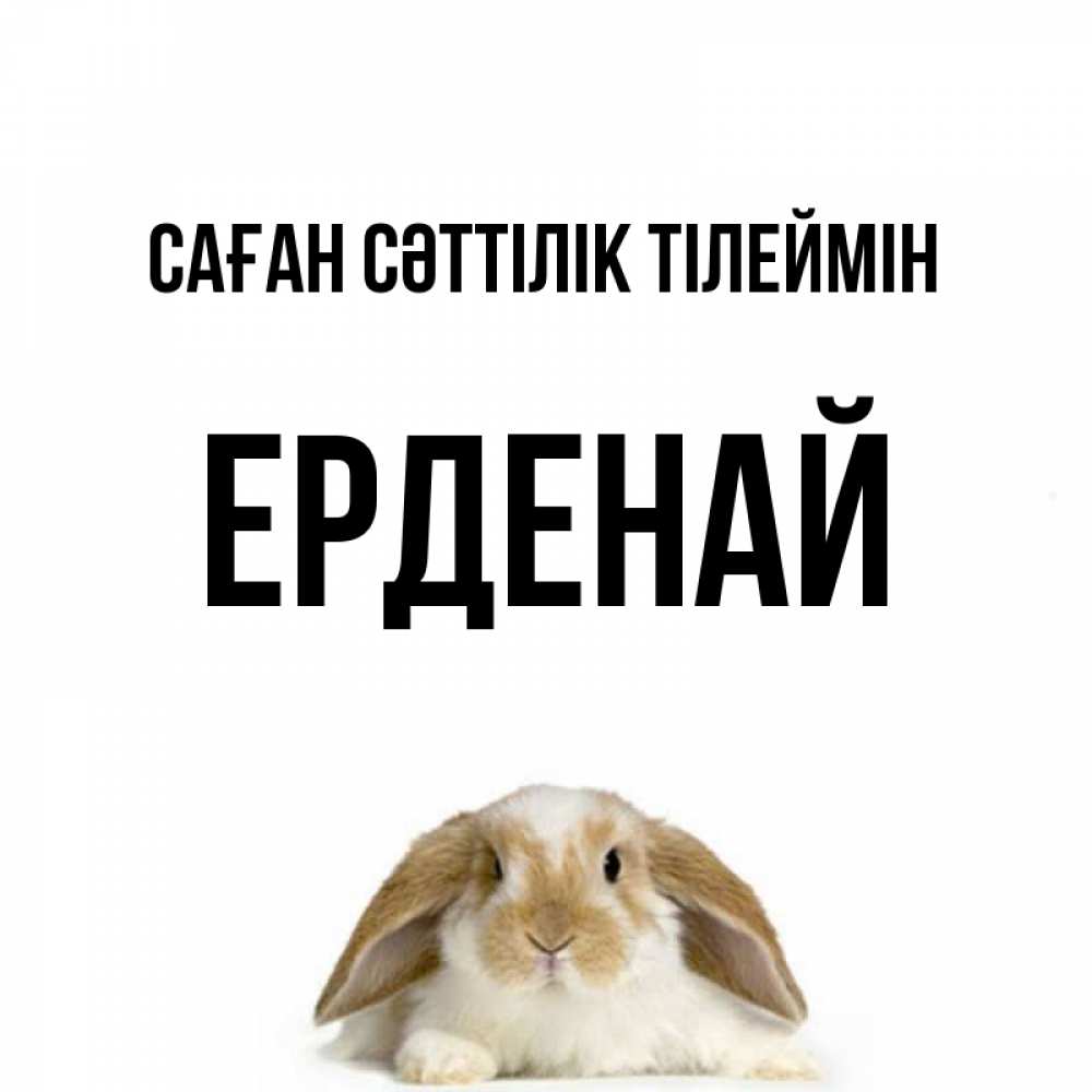 Күн сайын ашық хат с именем, Ерденай Саған сәттілік тілеймін открытки с произвольным текстом который можно вставить в открытку и создать ее самостоятельно бесплатно онлайн Онлайн тегін жүктеп алу тілектері бар керемет карта 