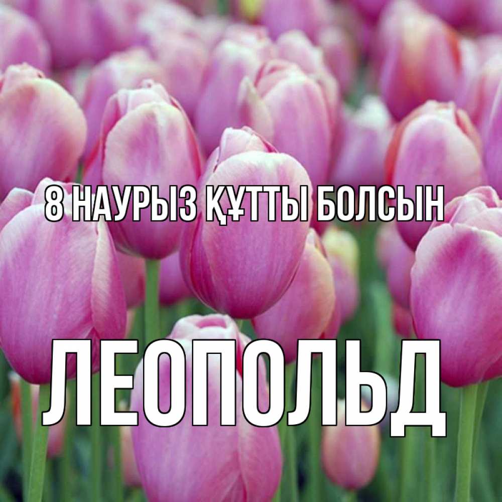 Күн сайын ашық хат с именем, Леопольд 8 наурыз құтты болсын на международный женский день 3 Онлайн тегін жүктеп алу тілектері бар керемет карта 