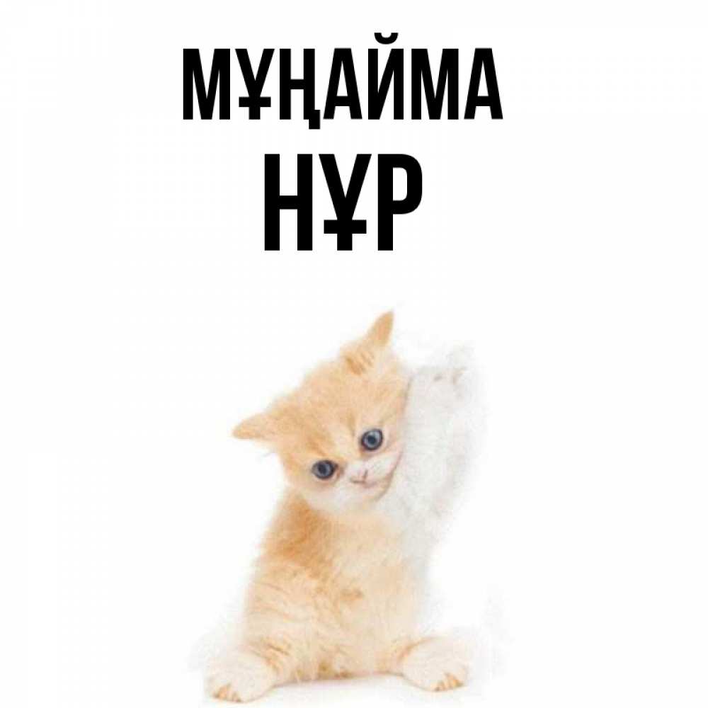 Күн сайын ашық хат с именем, НҰР Мұңайма просящий кот Онлайн тегін жүктеп алу тілектері бар керемет карта 
