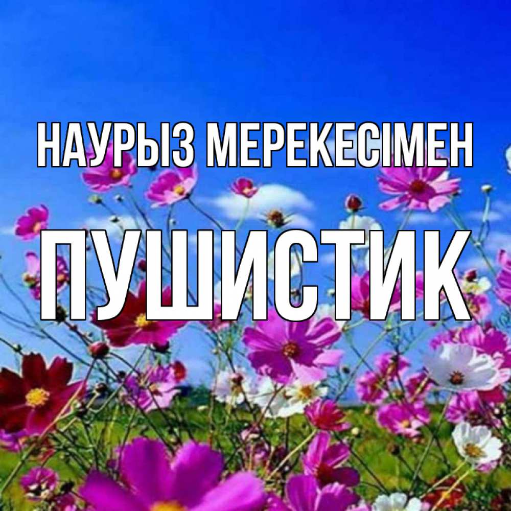 Күн сайын ашық хат с именем, Пушистик Наурыз мерекесімен цветы Онлайн тегін жүктеп алу тілектері бар керемет карта 
