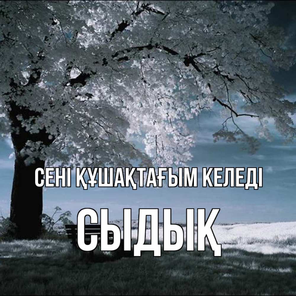 Күн сайын ашық хат с именем, СЫДЫҚ сені құшақтағым келеді дерево Онлайн тегін жүктеп алу тілектері бар керемет карта 