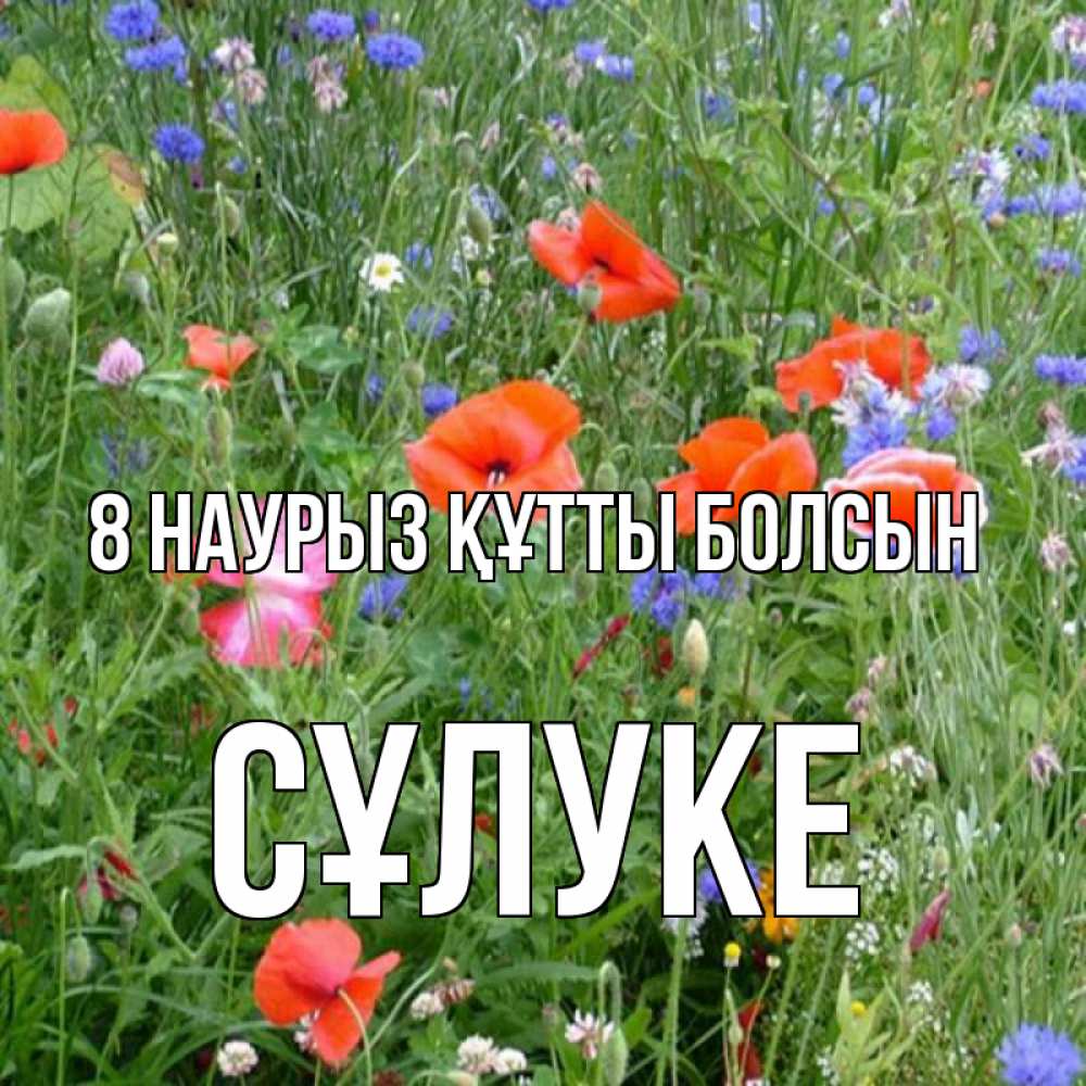 Күн сайын ашық хат с именем, СҰЛУКЕ 8 наурыз құтты болсын международный женский день 4 Онлайн тегін жүктеп алу тілектері бар керемет карта 