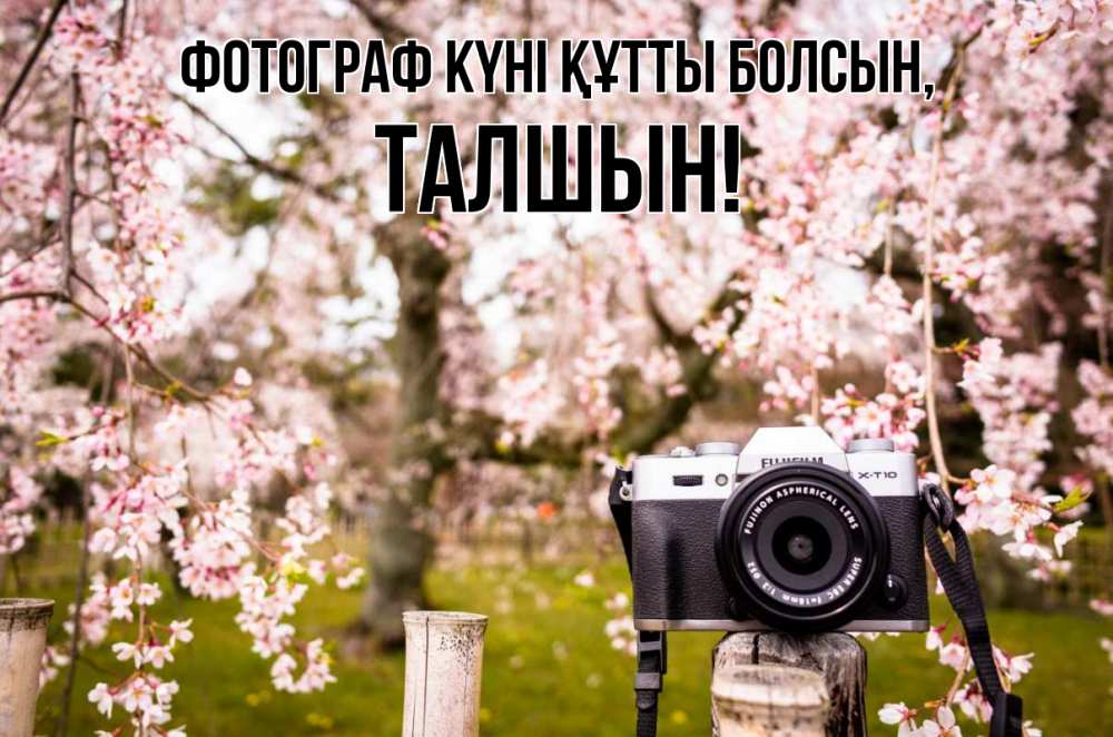 Күн сайын ашық хат с именем, ТАЛШЫН Фотограф күні құтты болсын сирень с днем фотографа, фотоаппарат Онлайн тегін жүктеп алу тілектері бар керемет карта 
