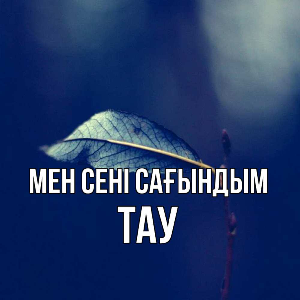 Күн сайын ашық хат с именем, ТАУ Мен сені сағындым одна ветка 1 Онлайн тегін жүктеп алу тілектері бар керемет карта 