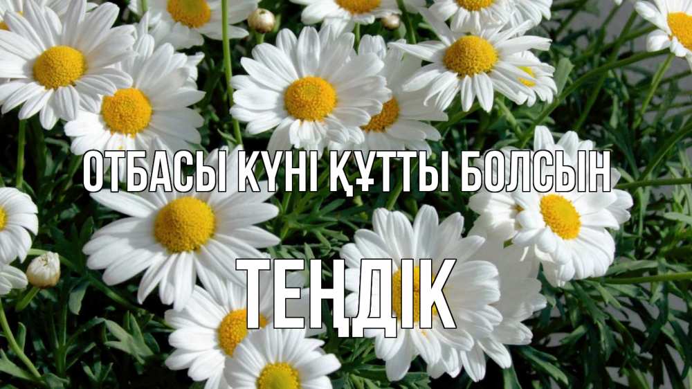 Күн сайын ашық хат с именем, ТЕҢДІК отбасы күні құтты болсын с днем семьи Онлайн тегін жүктеп алу тілектері бар керемет карта 