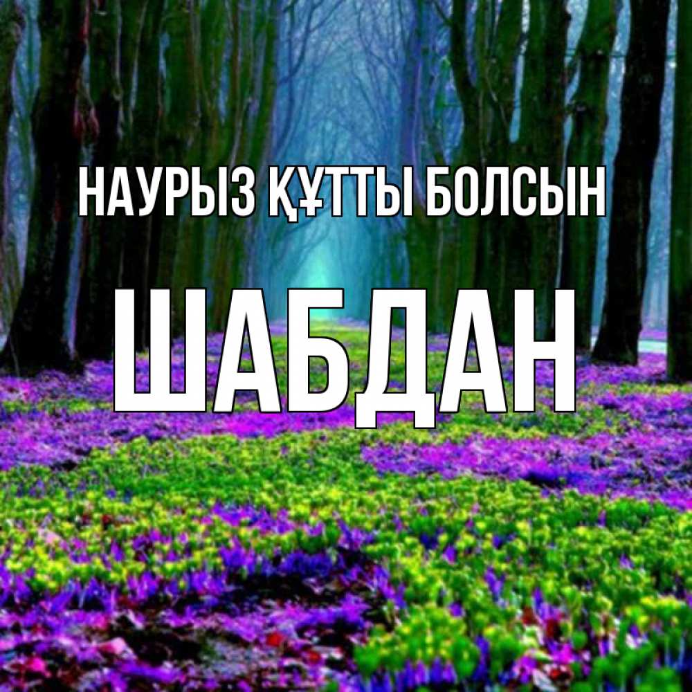 Күн сайын ашық хат с именем, ШАБДАН Наурыз құтты болсын фиолетовые цветы в лесу 1 Онлайн тегін жүктеп алу тілектері бар керемет карта 