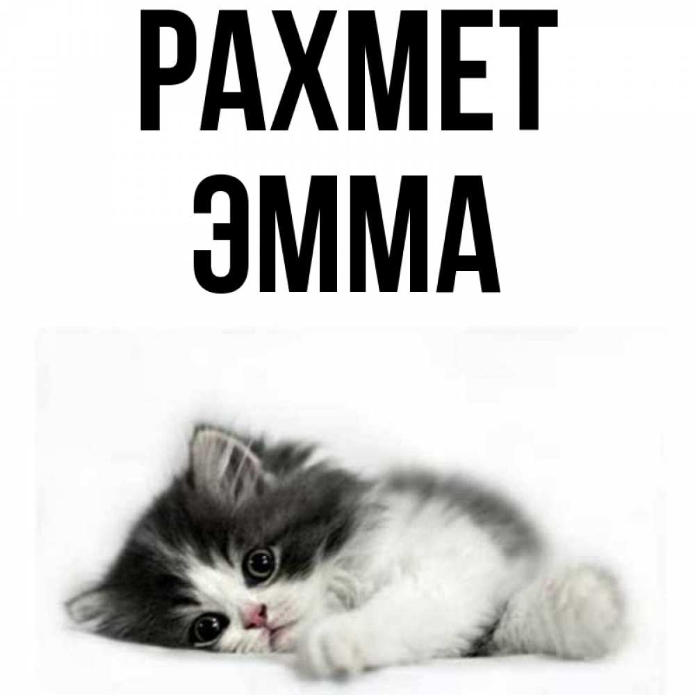 Күн сайын ашық хат с именем, Эмма рахмет черный и белый кот Онлайн тегін жүктеп алу тілектері бар керемет карта 