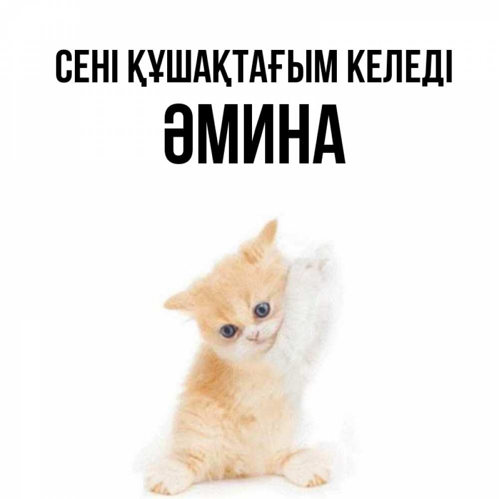 Күн сайын ашық хат с именем, ӘМИНА сені құшақтағым келеді я хочу очень скорее обнимаешек Онлайн тегін жүктеп алу тілектері бар керемет карта 