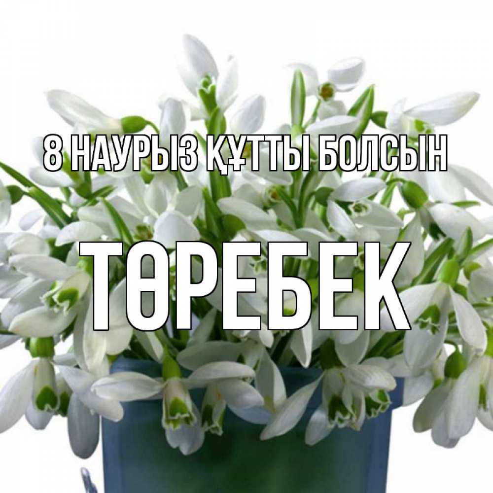 Күн сайын ашық хат с именем, ТӨРЕБЕК 8 наурыз құтты болсын цветы к международному женскому дню Онлайн тегін жүктеп алу тілектері бар керемет карта 