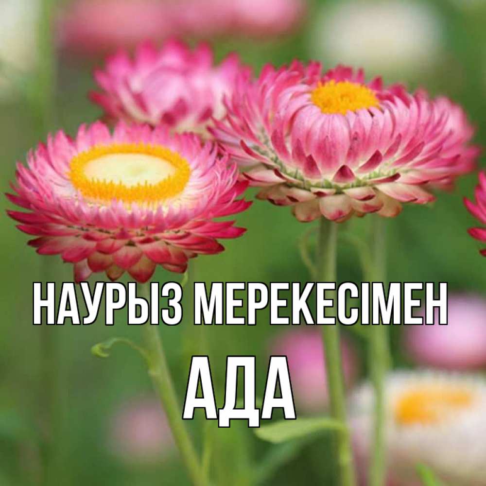 Күн сайын ашық хат с именем, Ада Наурыз мерекесімен подарок на международный женский день Онлайн тегін жүктеп алу тілектері бар керемет карта 