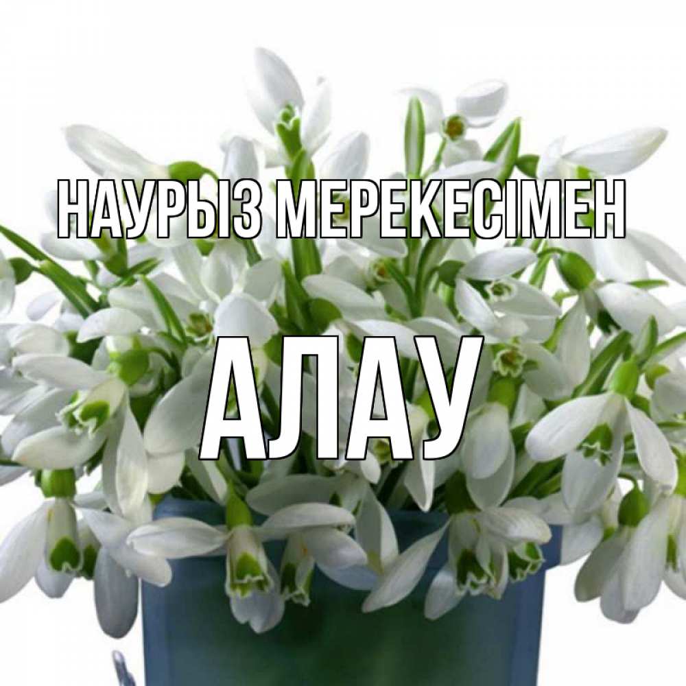 Күн сайын ашық хат с именем, Алау Наурыз мерекесімен цветы к наурызу новый год в Казахстане Онлайн тегін жүктеп алу тілектері бар керемет карта 