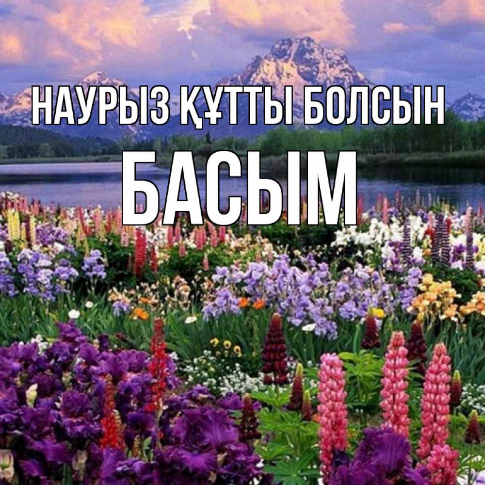 Күн сайын ашық хат с именем, Басым Наурыз құтты болсын наурыз Онлайн тегін жүктеп алу тілектері бар керемет карта 