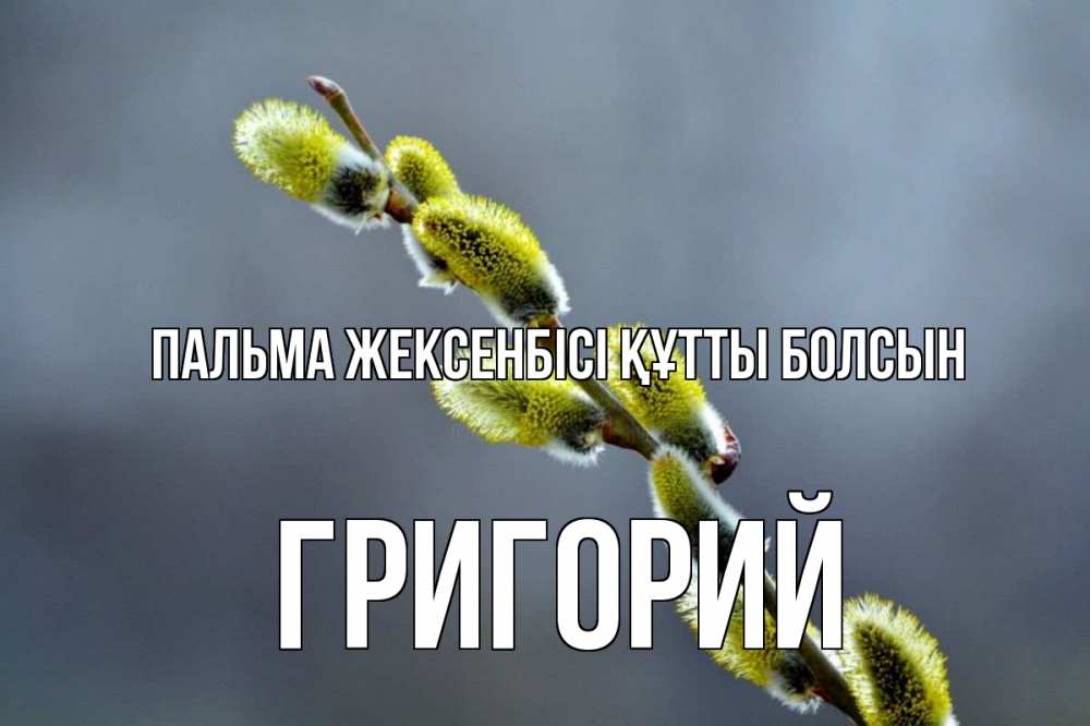Күн сайын ашық хат с именем, Григорий Пальма жексенбісі құтты болсын верба Онлайн тегін жүктеп алу тілектері бар керемет карта 