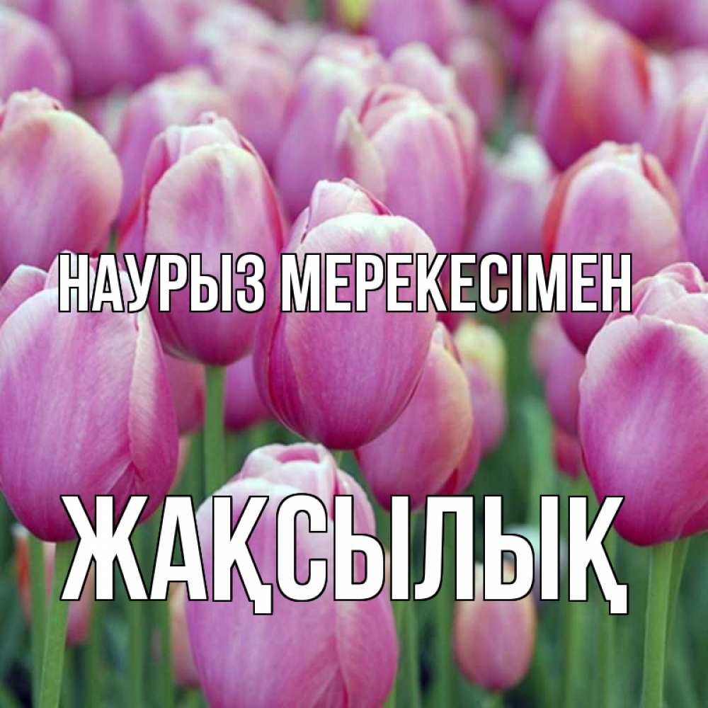 Күн сайын ашық хат с именем, Жақсылық Наурыз мерекесімен праздник весны наурыз 69 Онлайн тегін жүктеп алу тілектері бар керемет карта 