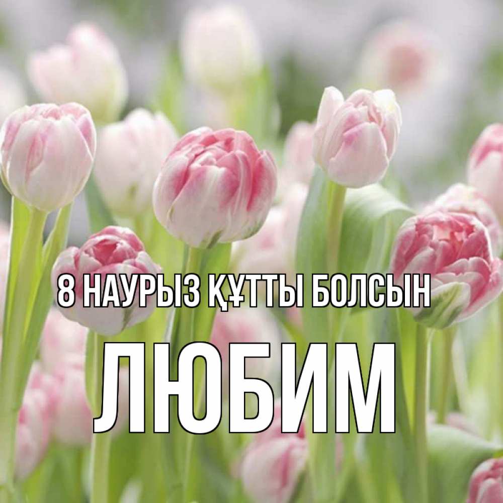 Күн сайын ашық хат с именем, Любим 8 наурыз құтты болсын цветы Онлайн тегін жүктеп алу тілектері бар керемет карта 