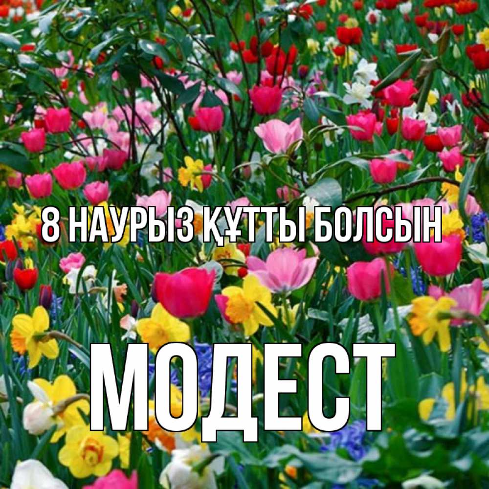 Күн сайын ашық хат с именем, Модест 8 наурыз құтты болсын с международным женским днем поздравления для женщины Онлайн тегін жүктеп алу тілектері бар керемет карта 