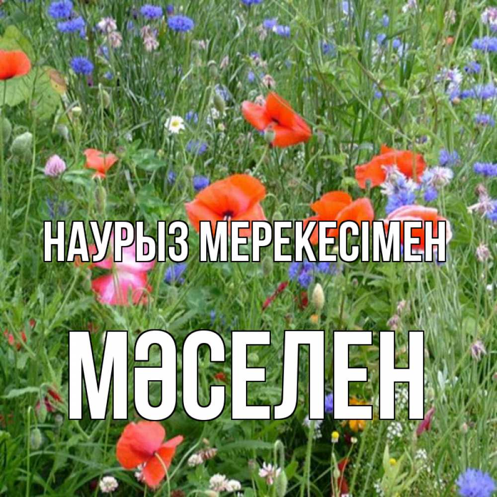 Күн сайын ашық хат с именем, Мәселен Наурыз мерекесімен праздник весны наурыз супер открытка Онлайн тегін жүктеп алу тілектері бар керемет карта 