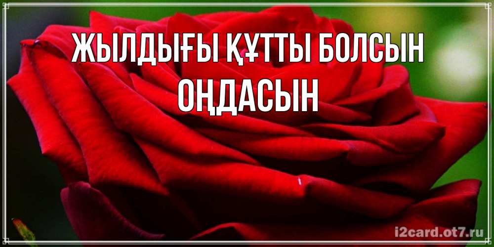 Күн сайын ашық хат с именем, ОҢДАСЫН Жылдығы құтты болсын розочка очень красивая Онлайн тегін жүктеп алу тілектері бар керемет карта 