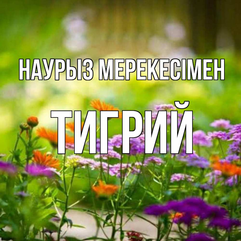 Күн сайын ашық хат с именем, Тигрий Наурыз мерекесімен цветы Онлайн тегін жүктеп алу тілектері бар керемет карта 