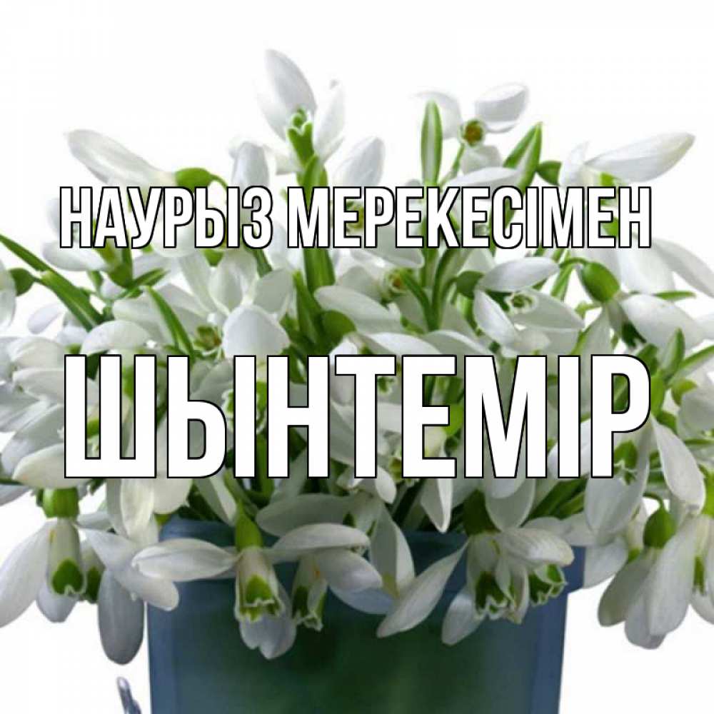Күн сайын ашық хат с именем, ШЫНТЕМІР Наурыз мерекесімен цветы к наурызу новый год в Казахстане Онлайн тегін жүктеп алу тілектері бар керемет карта 