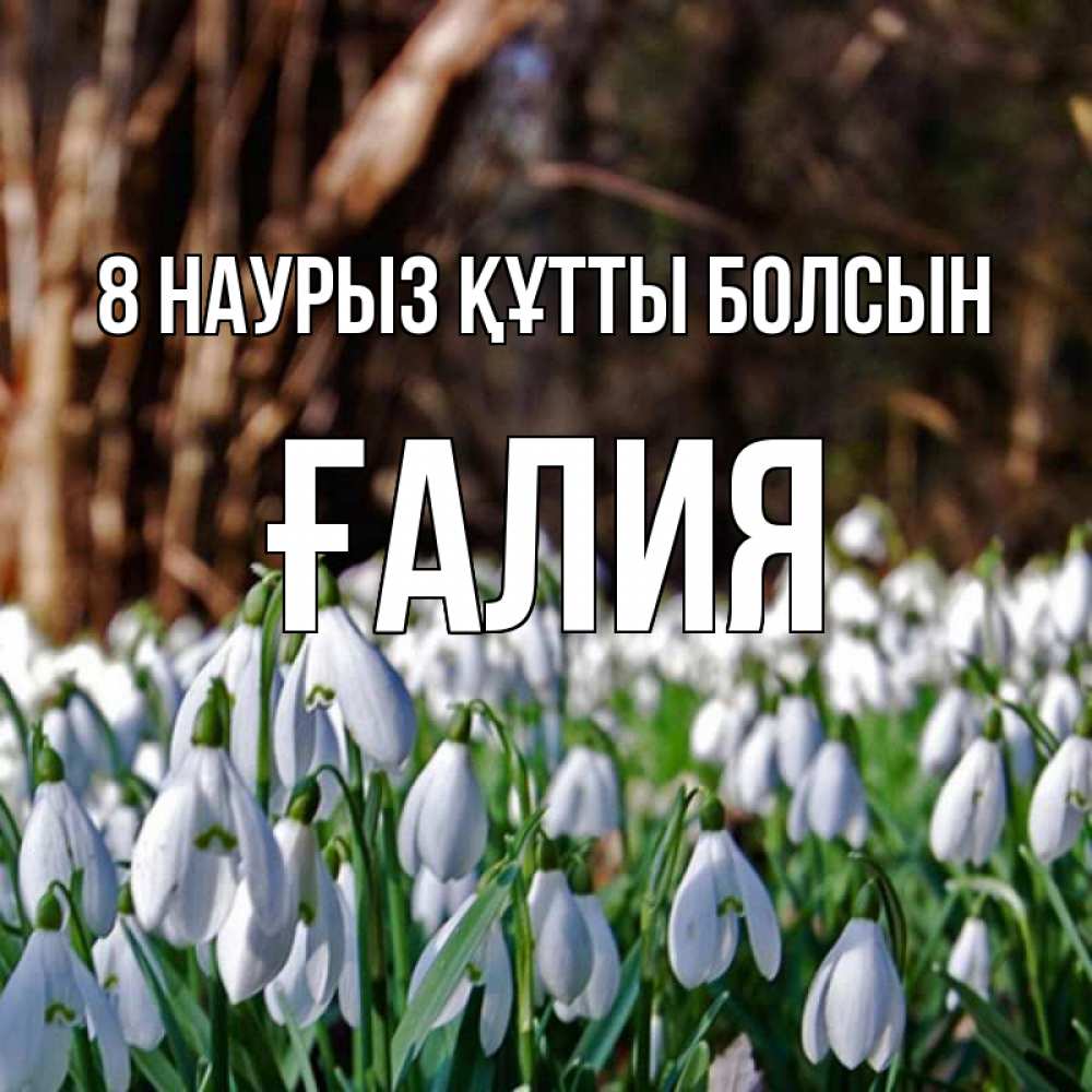 Күн сайын ашық хат с именем, ҒАЛИЯ 8 наурыз құтты болсын с подснежниками 1 Онлайн тегін жүктеп алу тілектері бар керемет карта 