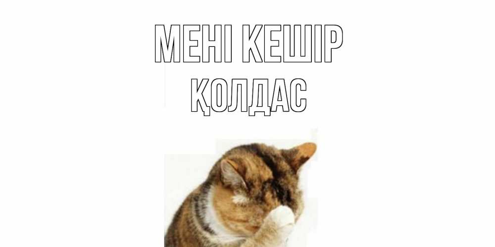 Күн сайын ашық хат с именем, Қолдас Мені кешір кот Онлайн тегін жүктеп алу тілектері бар керемет карта 