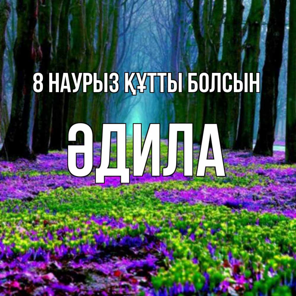 Күн сайын ашық хат с именем, ӘДИЛА 8 наурыз құтты болсын фиолетовые цветы в лесу 1 Онлайн тегін жүктеп алу тілектері бар керемет карта 