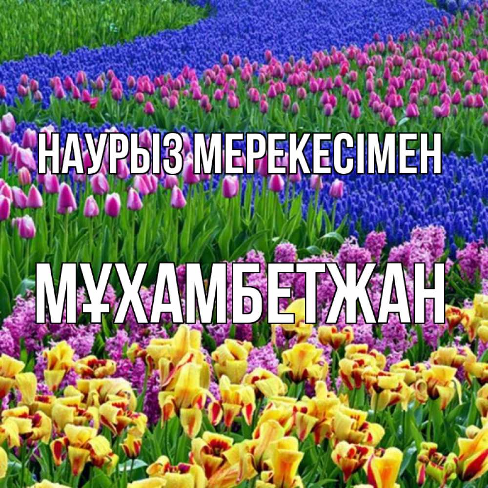 Күн сайын ашық хат с именем, МҰХАМБЕТЖАН Наурыз мерекесімен цветы Онлайн тегін жүктеп алу тілектері бар керемет карта 