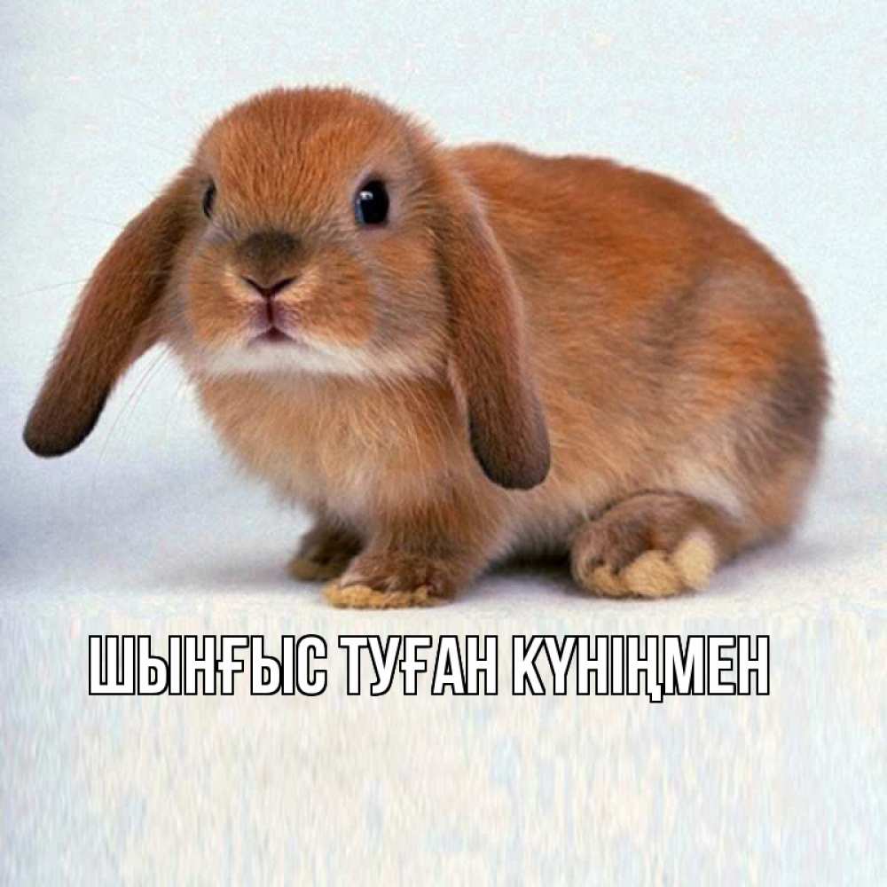 Открытка атымен, ШЫНҒЫС! ТУҒАН КҮНІҢМЕН!, 