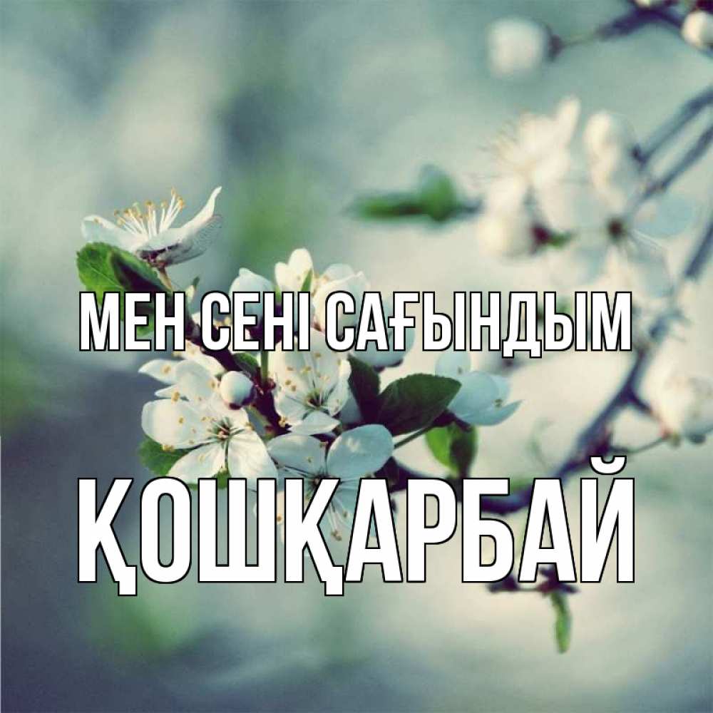 Күн сайын ашық хат с именем, ҚОШҚАРБАЙ Мен сені сағындым весна Онлайн тегін жүктеп алу тілектері бар керемет карта 