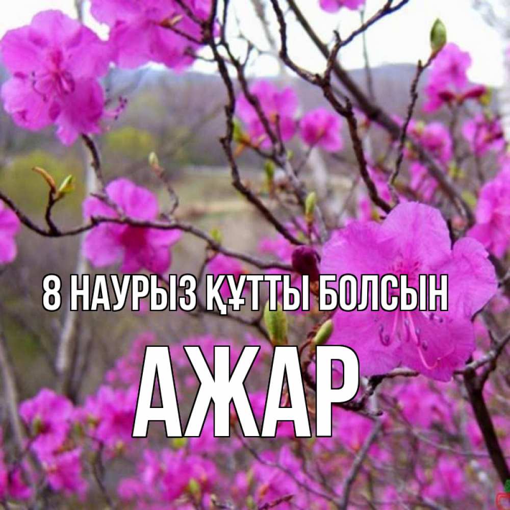 Күн сайын ашық хат с именем, АЖАР 8 наурыз құтты болсын международный женский день Онлайн тегін жүктеп алу тілектері бар керемет карта 