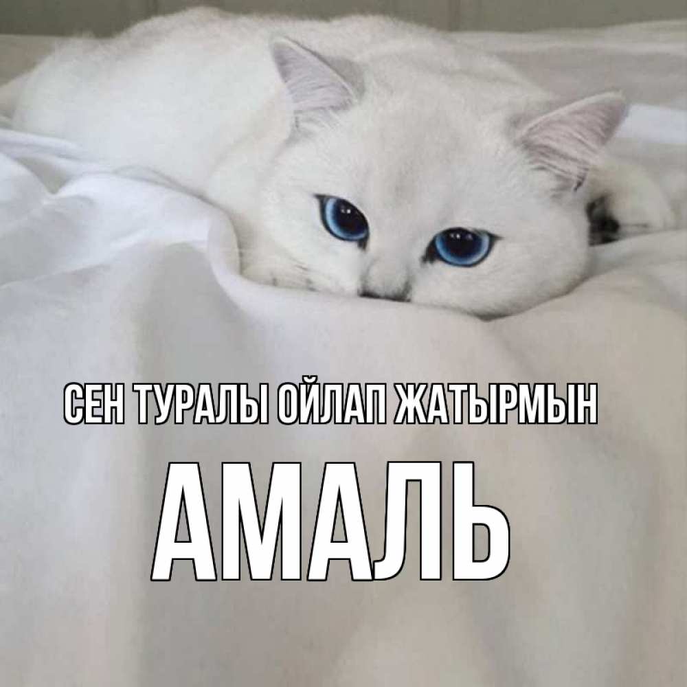 Күн сайын ашық хат с именем, Амаль Сен туралы ойлап жатырмын я очень по тебе скучаю и тоскую Онлайн тегін жүктеп алу тілектері бар керемет карта 
