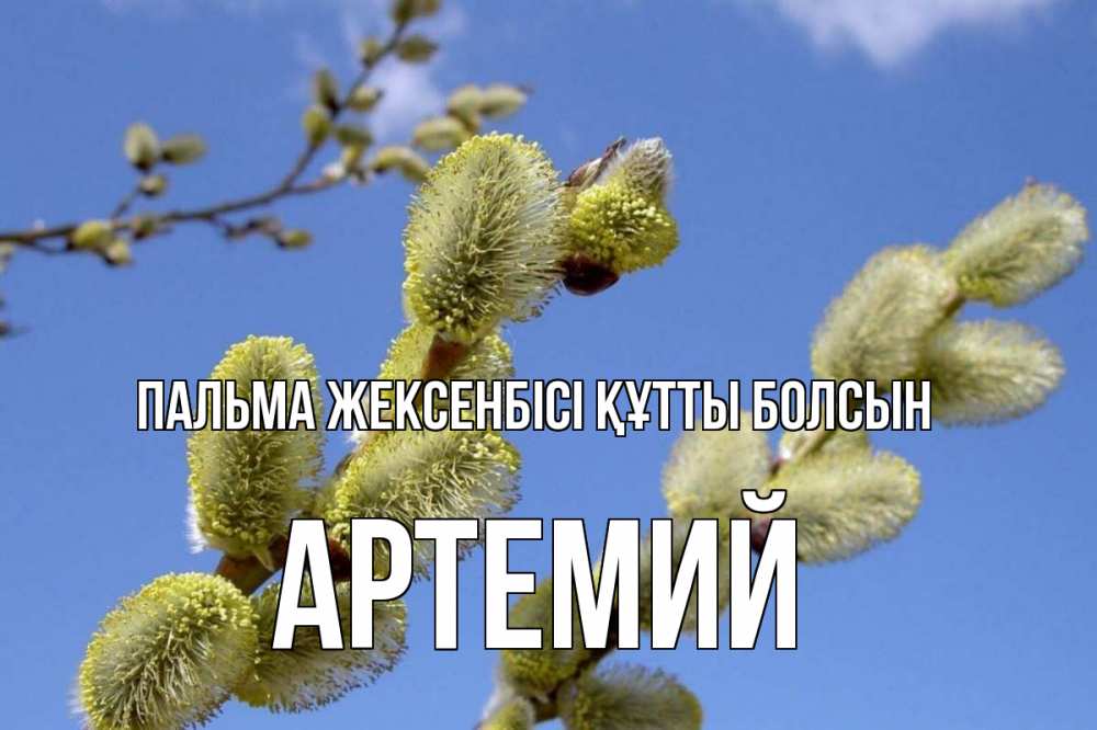 Күн сайын ашық хат с именем, Артемий Пальма жексенбісі құтты болсын верба Онлайн тегін жүктеп алу тілектері бар керемет карта 
