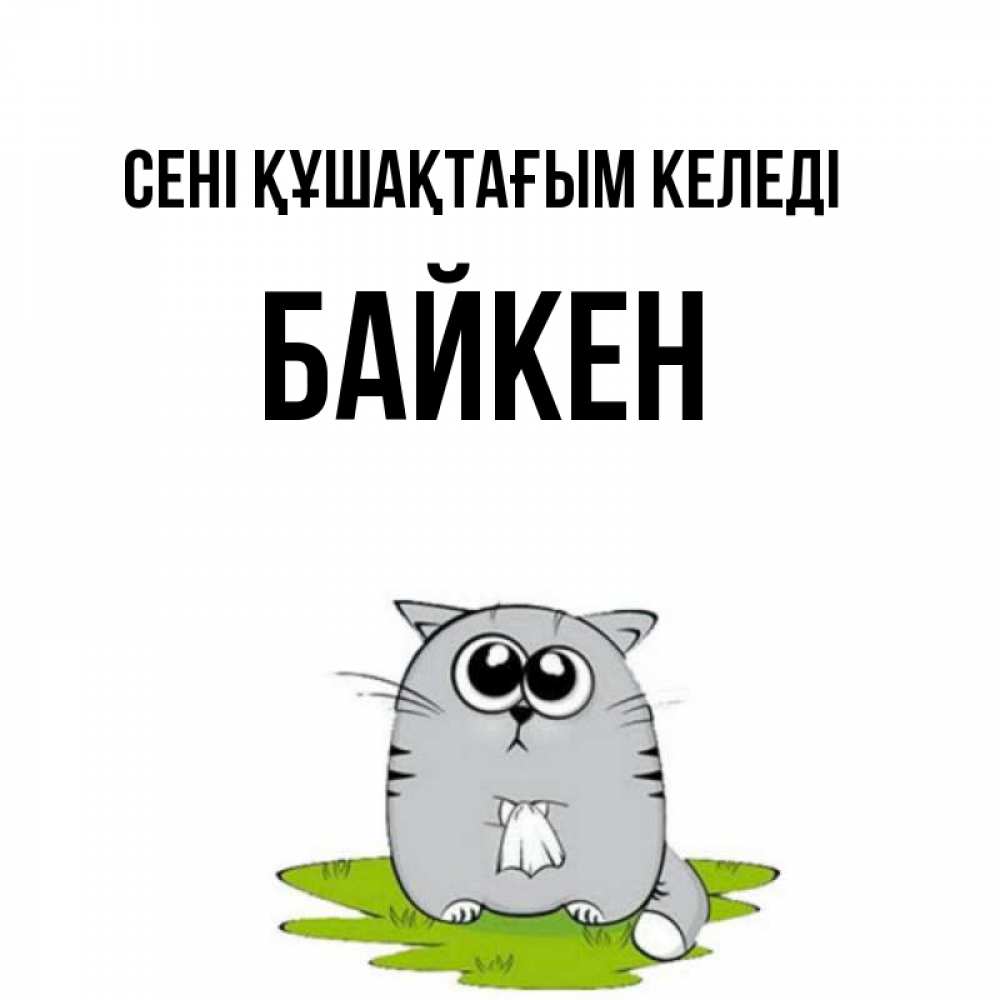 Күн сайын ашық хат с именем, Байкен сені құшақтағым келеді котик теребит платочек сидя на травке Онлайн тегін жүктеп алу тілектері бар керемет карта 