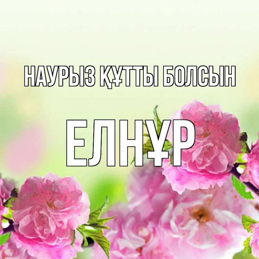 Күн сайын ашық хат с именем, Елнұр Наурыз құтты болсын цветы Онлайн тегін жүктеп алу тілектері бар керемет карта 