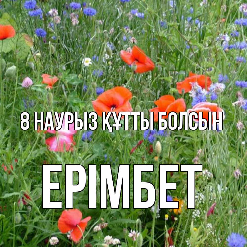 Күн сайын ашық хат с именем, Ерімбет 8 наурыз құтты болсын международный женский день 4 Онлайн тегін жүктеп алу тілектері бар керемет карта 