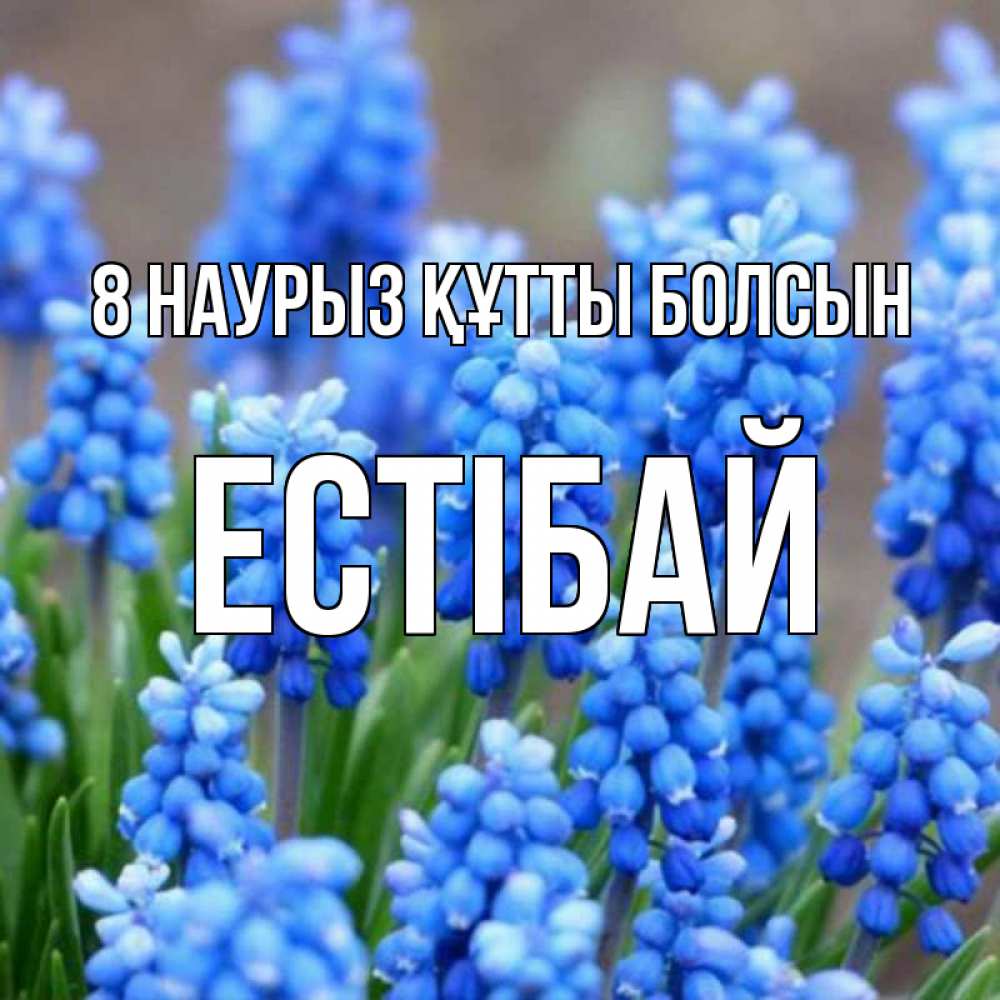 Күн сайын ашық хат с именем, Естібай 8 наурыз құтты болсын Поздравительная открытка для женщин с цветами на праздничную дату Онлайн тегін жүктеп алу тілектері бар керемет карта 