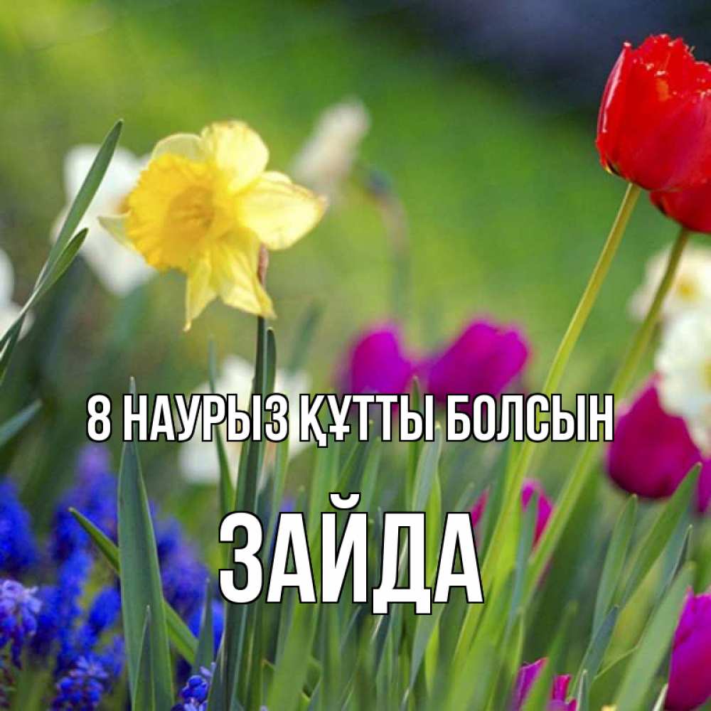 Күн сайын ашық хат с именем, ЗАЙДА 8 наурыз құтты болсын международный женский день 3 Онлайн тегін жүктеп алу тілектері бар керемет карта 