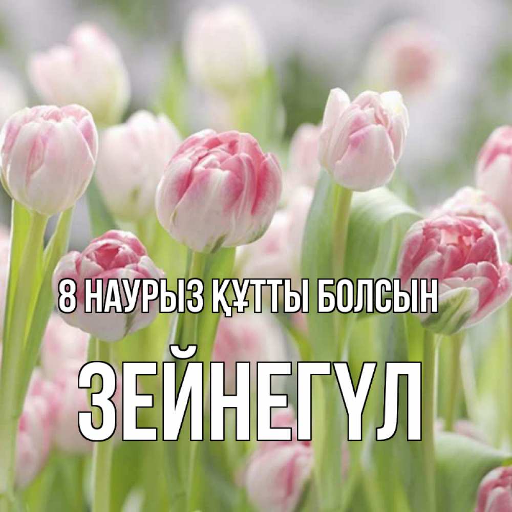 Күн сайын ашық хат с именем, ЗЕЙНЕГҮЛ 8 наурыз құтты болсын цветы Онлайн тегін жүктеп алу тілектері бар керемет карта 
