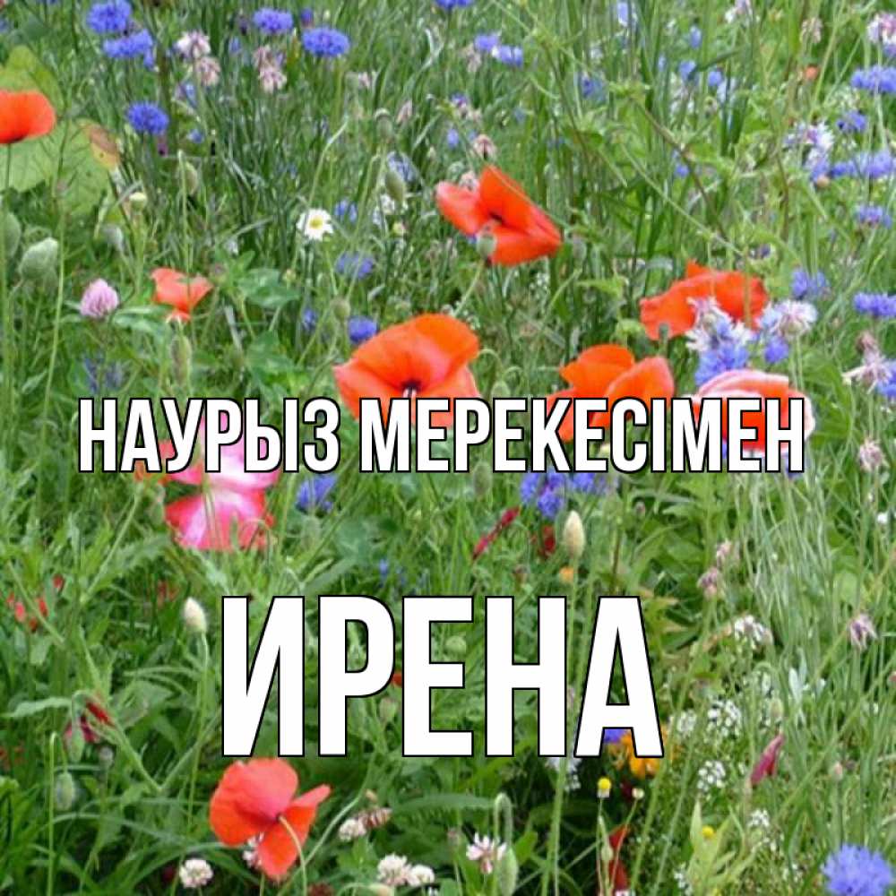 Күн сайын ашық хат с именем, Ирена Наурыз мерекесімен праздник весны наурыз супер открытка Онлайн тегін жүктеп алу тілектері бар керемет карта 