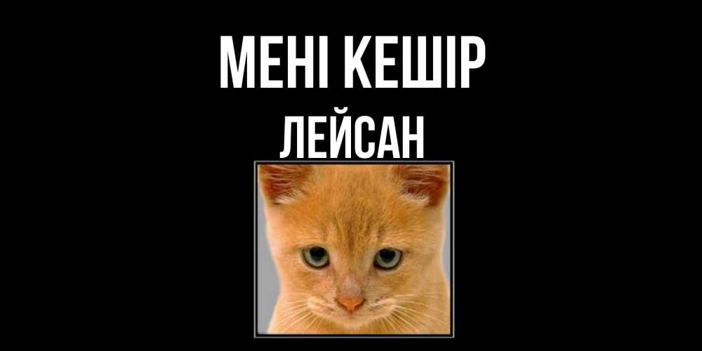 Күн сайын ашық хат с именем, Лейсан Мені кешір рыжий грустный кот просит прощения Онлайн тегін жүктеп алу тілектері бар керемет карта 
