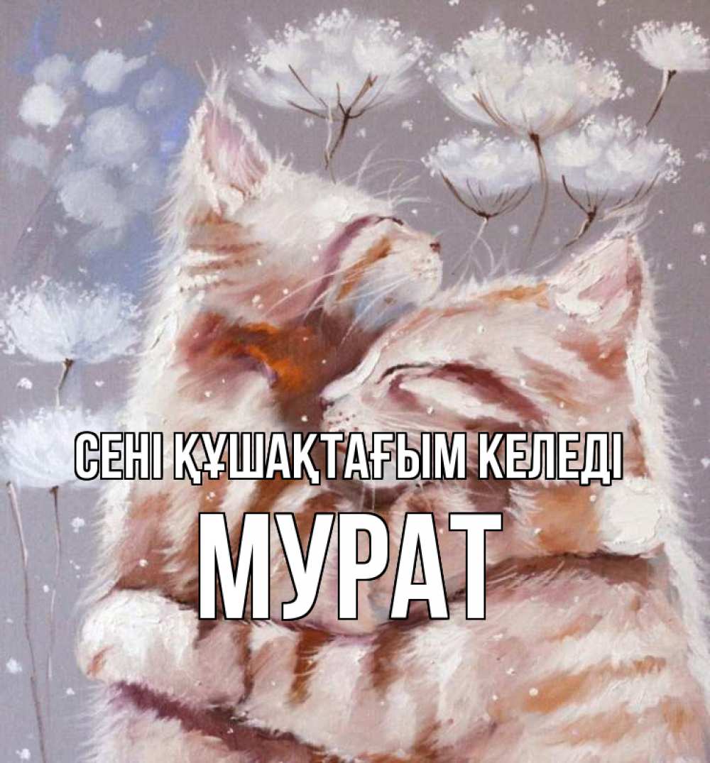 Күн сайын ашық хат с именем, Мурат сені құшақтағым келеді Море и горы Онлайн тегін жүктеп алу тілектері бар керемет карта 